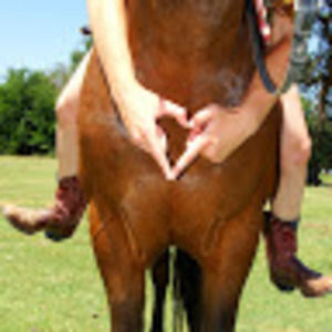 Meet your Posher, Gina